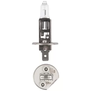 48320 H1 12V 55W P14.5S Globe Halogen